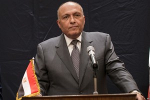 Egypt Calls Skhirat Agreement a Step toward Fighting Terrorism in Libya